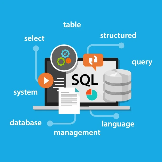 Web Development & IT Solutions